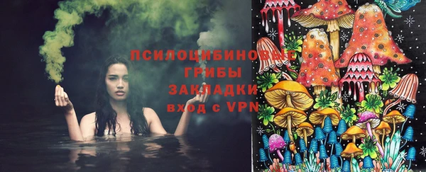 молекула духа Кулебаки