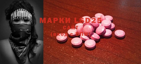молекула духа Кулебаки