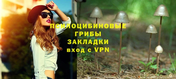 молекула духа Кулебаки